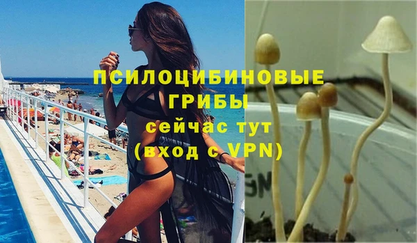 мяу мяу мука Алзамай
