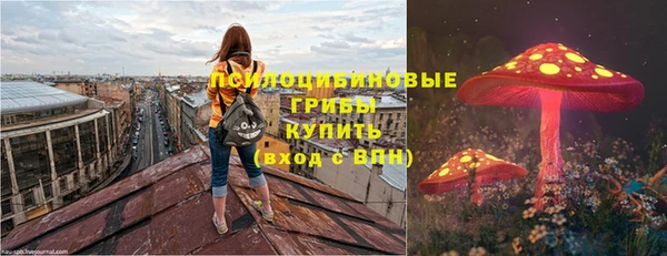 круглые Алексеевка