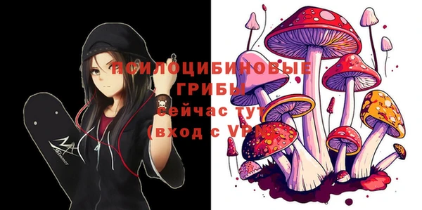мяу мяу мука Алзамай