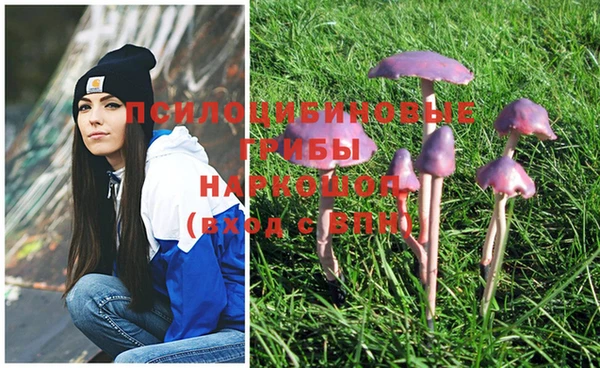 круглые Алексеевка