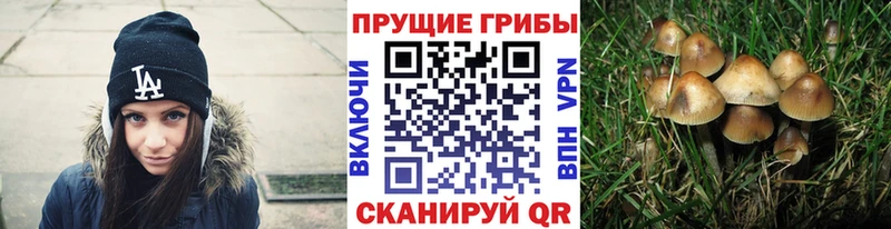 Псилоцибиновые грибы MAGIC MUSHROOMS  Щёлково 